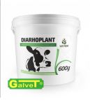 Leven DIARHOPLANT 600g (mpu) preparat przeciwbiegunkowy dla krów, jałówek i opasów wiaderko
