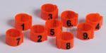 Numbered rings 1-25 for hens 16 mm, markers