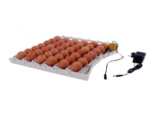 Automatic tray for turning eggs