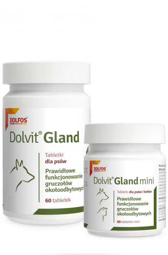 Dolvit GLAND preparation responsible for the proper functioning of the anal glands 60 tab.