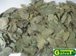 Ground bay leaf 25 kg