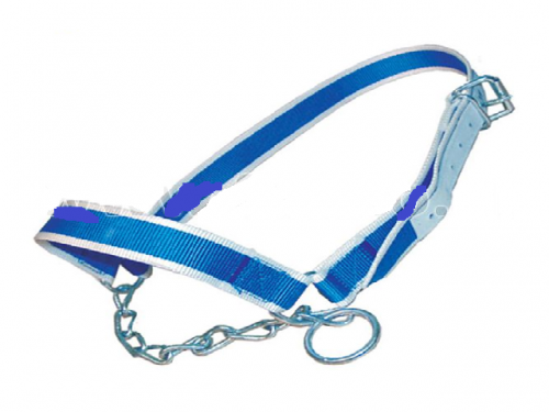 Tether halter for cattle with drawstring and chain