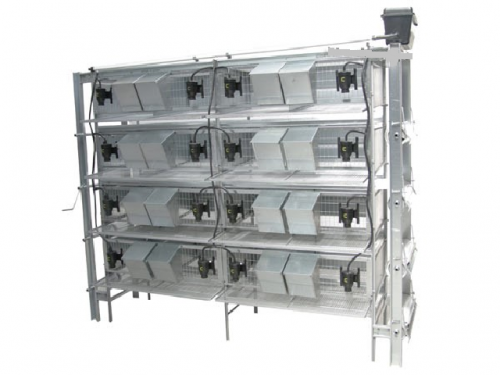 Cage for breeding birds, segment cage for partridges to collect eggs - 8 positions