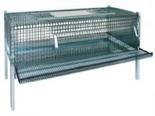 Cage for breeding birds, cage for quails for fattening
