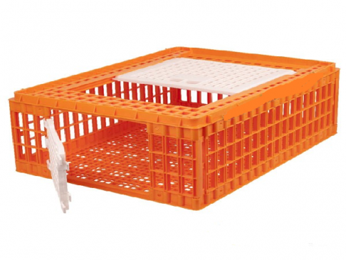 Cage for transporting 77x58x28 poultry and ornamental birds