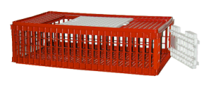 Transport cage for poultry - 95 x 57 x 24 cm