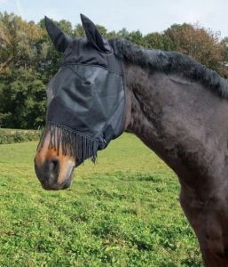 Mosquito net for a horse
