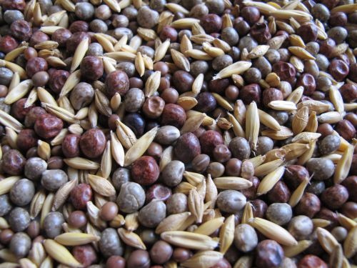 MP-5 aftercrop mixture for corn, cereals and rapeseed 25 kg