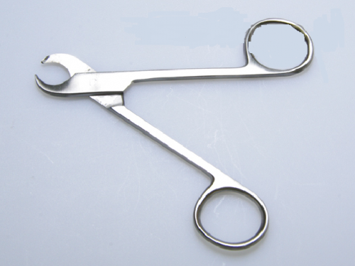 Professional scissors for trimming cat\'s claws, veterinary equipment