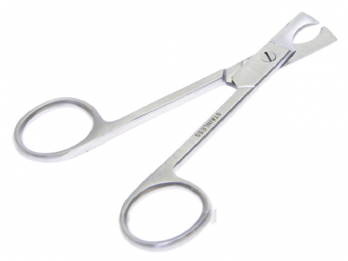 Clippers for the correction of a dog\'s claws, veterinary equipment