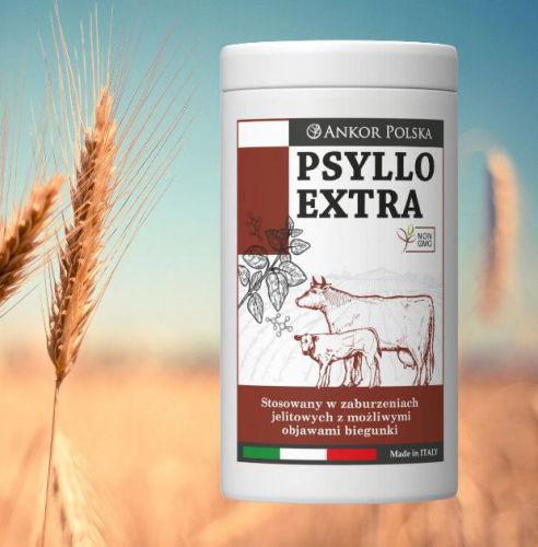 Psyllo Extra 1kg anti-diarrhea complementary feed for calves