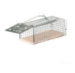 Alive caged mousetrap