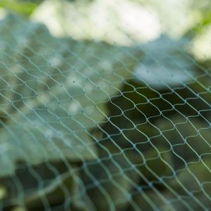 Net against birds PE; UV; 25x20mm mesh; 0.2mm fishing line; width: 3m roll 5m