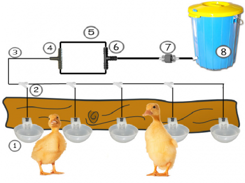 Complete watering system for young geese and ducks goDRINK, watering system, drip drinker