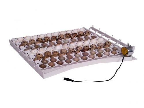 Automatic egg tray with attachment