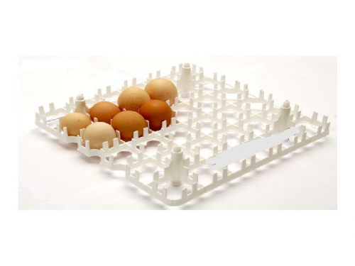 PVC tray for 63 barantas and guinea fowl eggs