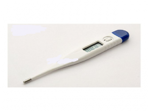 Electronic thermometer with display for incubators