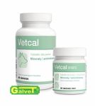 VETCAL mineral-vitamin dietary supplement for dogs 90tab