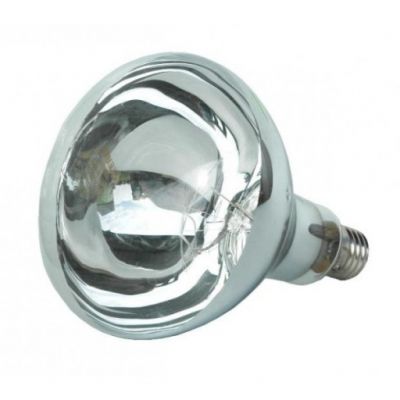250W white lamp bulb for radiant lamp
