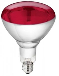 Bulb for Philips 250W irradiation lamp, red