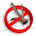 Insektycydy - środki owadobójcze