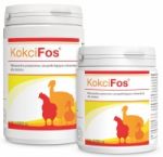 Dolfos KOKCIFOS 1kg (ogranicza namnażanie pierwotniaków wywołujących kokcydiozę)  dla drobiu