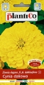 Cynia wytworna daliowa żółta (10x1g)