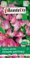 Groszek pachnący różowy (10x2g)