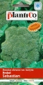 Brokuł SEBASTIAN (10x2,4g)