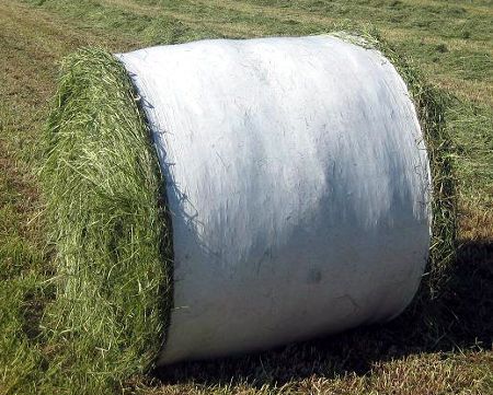 Folbel wrapping foil 1.28 x 2000m of hay and straw