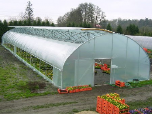 Folia tunelowa  12 x 150m Gardenvit UV10