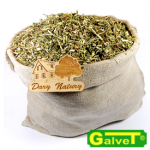 Goldenrod loose herb 1kg - dried