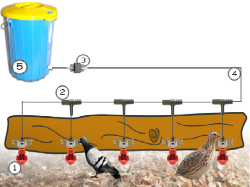 Complete watering line for pigeons and quail - for 35-60 birds, watering system, droplet drinker