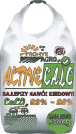 ACTIVE CALC GRANULOWANY CaCO3 – 93%-98% CaO – 50% ODMIANA 05
