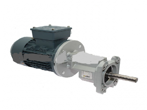 Motor at the end of the longitudinal feeding line with a power of 0.55 kW with gear