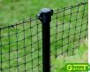Metal post coated with PVC green 100cm
